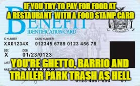 IF YOU TRY TO PAY FOR FOOD AT A RESTAURANT  WITH A FOOD STAMP CARD; YOU'RE GHETTO, BARRIO AND TRAILER PARK TRASH AS HELL | image tagged in ebt card | made w/ Imgflip meme maker