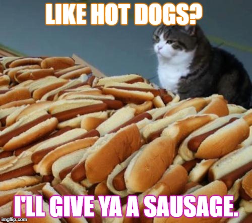 Hot dog cat | LIKE HOT DOGS? I'LL GIVE YA A SAUSAGE. | image tagged in hot dog cat | made w/ Imgflip meme maker