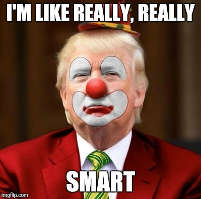 I'M LIKE REALLY, REALLY; SMART | image tagged in clown | made w/ Imgflip meme maker