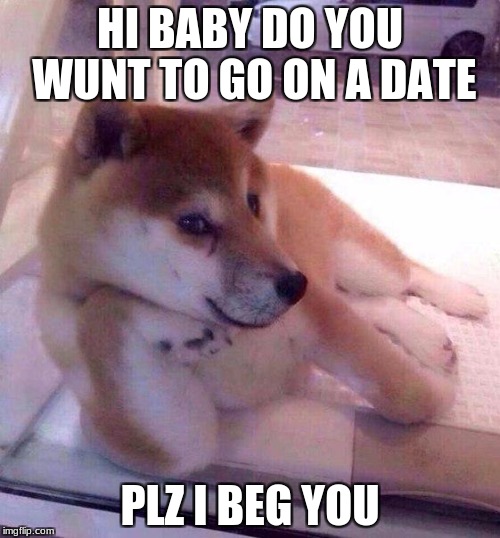 Flirting Doge | HI BABY DO YOU WUNT TO GO ON A DATE; PLZ I BEG YOU | image tagged in flirting doge | made w/ Imgflip meme maker