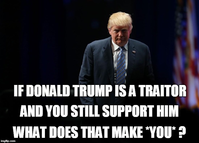 IF DONALD TRUMP IS A TRAITOR; AND YOU STILL SUPPORT HIM; WHAT DOES THAT MAKE *YOU* ? | image tagged in trump | made w/ Imgflip meme maker