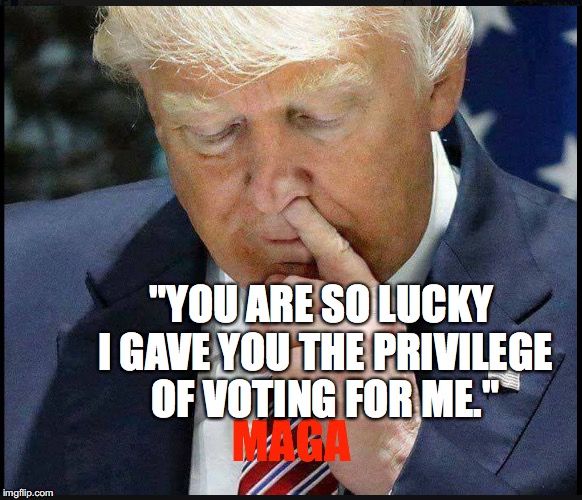 White Privilege | "YOU ARE SO LUCKY I GAVE YOU THE PRIVILEGE OF VOTING FOR ME." | image tagged in trump picking nose,white privilege,voting,bobcrespodotcom | made w/ Imgflip meme maker