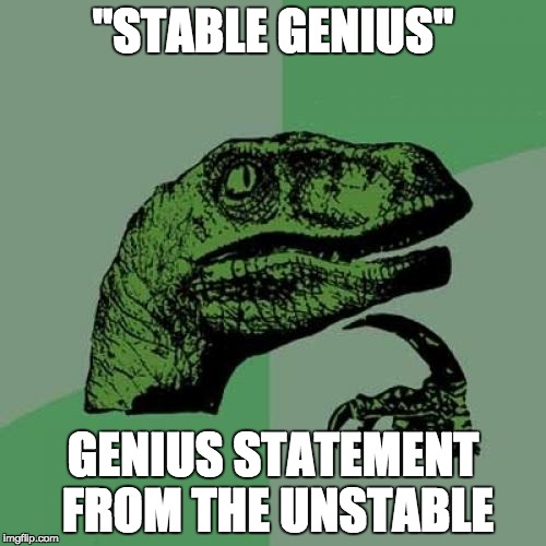 Vacuous | "STABLE GENIUS"; GENIUS STATEMENT FROM THE UNSTABLE | image tagged in memes,philosoraptor,donald trump,trump,stupid trump | made w/ Imgflip meme maker