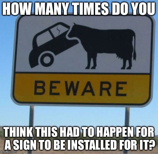 The sign blames the cow, but I’m sure the driver ran into the cow |  HOW MANY TIMES DO YOU; THINK THIS HAD TO HAPPEN FOR A SIGN TO BE INSTALLED FOR IT? | image tagged in memes | made w/ Imgflip meme maker