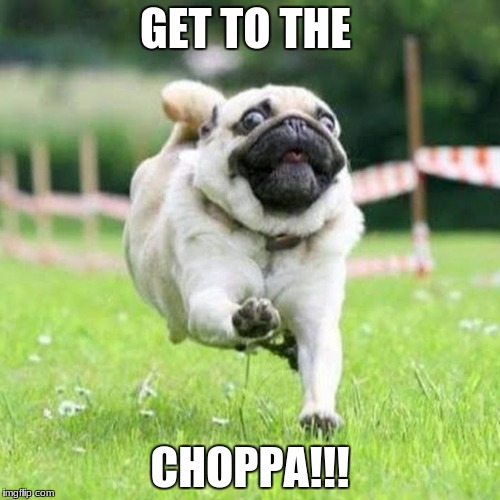 GET TO THE; CHOPPA!!! | image tagged in pug love | made w/ Imgflip meme maker