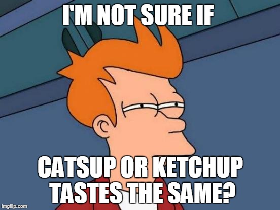 Futurama Fry Meme | I'M NOT SURE IF; CATSUP OR KETCHUP TASTES THE SAME? | image tagged in memes,futurama fry | made w/ Imgflip meme maker
