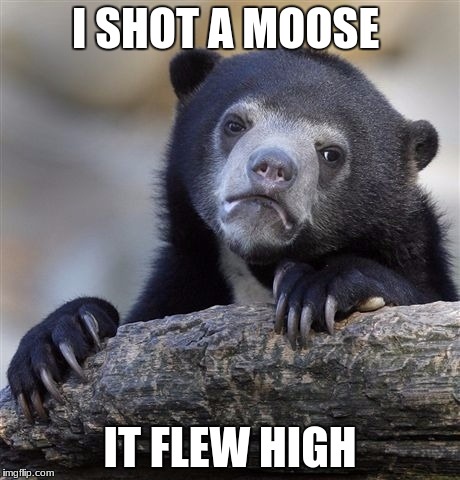 Confession Bear Meme | I SHOT A MOOSE; IT FLEW HIGH | image tagged in memes,confession bear | made w/ Imgflip meme maker