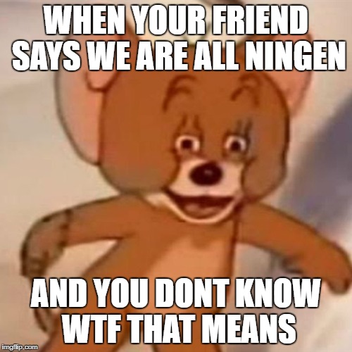 Polish Jerry | WHEN YOUR FRIEND SAYS WE ARE ALL NINGEN; AND YOU DONT KNOW WTF THAT MEANS | image tagged in polish jerry | made w/ Imgflip meme maker