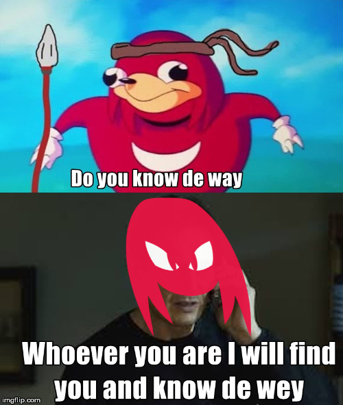 Know De Wey | image tagged in liam neeson taken,knuckles | made w/ Imgflip meme maker