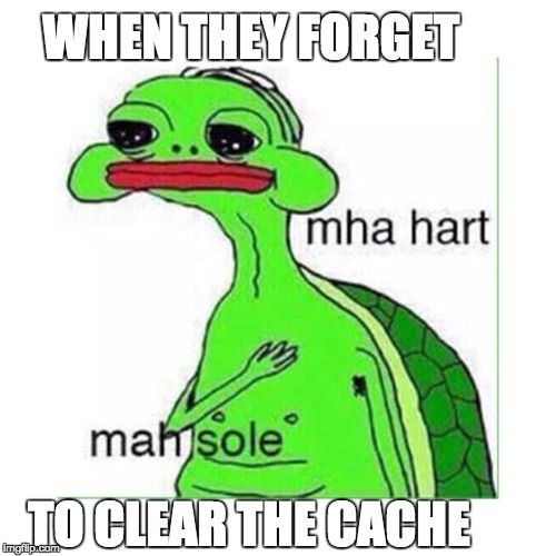  WHEN THEY FORGET; TO CLEAR THE CACHE | image tagged in clear the cache,cache,web development | made w/ Imgflip meme maker