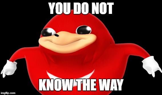 DA WAE | YOU DO NOT; KNOW THE WAY | image tagged in the way,ugandan knuckles | made w/ Imgflip meme maker
