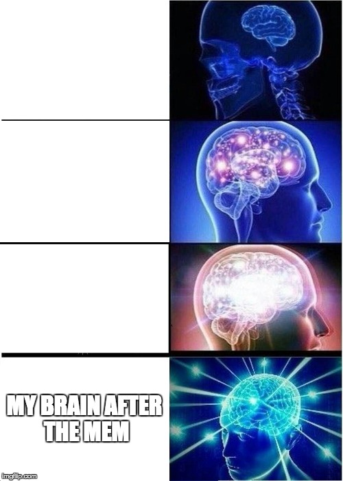 Expanding Brain Meme | MY BRAIN AFTER THE MEM | image tagged in memes,expanding brain | made w/ Imgflip meme maker