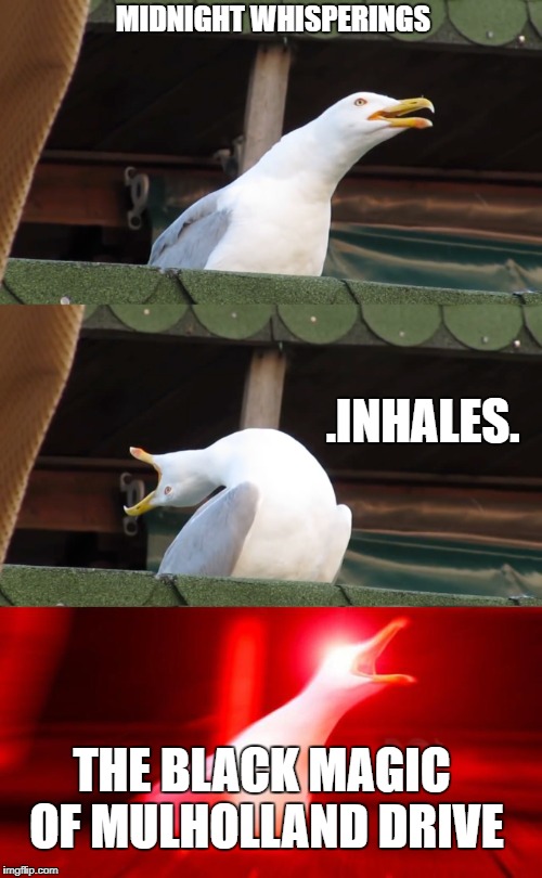 Panic! At The Disco Seagull | MIDNIGHT WHISPERINGS; .INHALES. THE BLACK MAGIC OF MULHOLLAND DRIVE | image tagged in inhaling seagull,panic at the disco | made w/ Imgflip meme maker