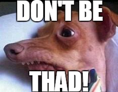 lisp dog | DON'T BE; THAD! | image tagged in lisp dog | made w/ Imgflip meme maker