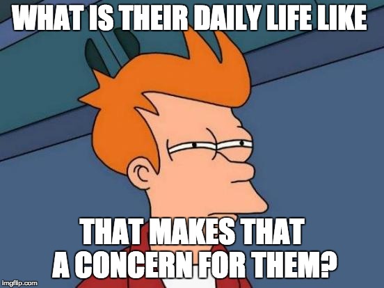 WHAT IS THEIR DAILY LIFE LIKE THAT MAKES THAT A CONCERN FOR THEM? | image tagged in memes,futurama fry | made w/ Imgflip meme maker