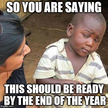 Third World Skeptical Kid Meme | SO YOU ARE SAYING; THIS SHOULD BE READY BY THE END OF THE YEAR | image tagged in memes,third world skeptical kid | made w/ Imgflip meme maker