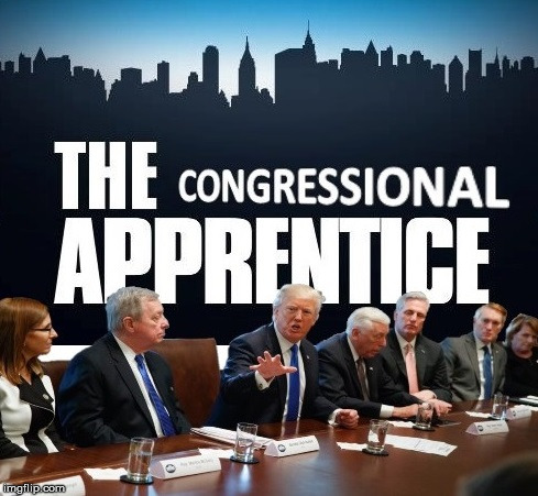 What The Immigration Meeting Really Was... Making Congress Work | . | image tagged in donald trump,memes,the apprentice,but thats none of my business | made w/ Imgflip meme maker
