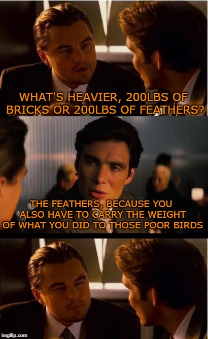 it's basic psychology  |  WHAT'S HEAVIER, 200LBS OF BRICKS OR 200LBS OF FEATHERS? THE FEATHERS, BECAUSE YOU ALSO HAVE TO CARRY THE WEIGHT OF WHAT YOU DID TO THOSE POOR BIRDS | image tagged in memes,inception,trhtimmy | made w/ Imgflip meme maker