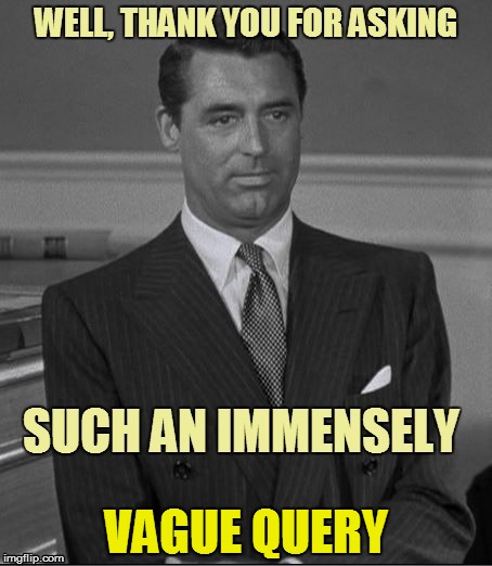 VAGUE QUERY | made w/ Imgflip meme maker