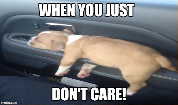 WHEN YOU JUST; DON'T CARE! | image tagged in sleepy dog | made w/ Imgflip meme maker