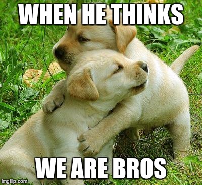 Puppy I love bro |  WHEN HE THINKS; WE ARE BROS | image tagged in puppy i love bro | made w/ Imgflip meme maker