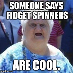 WAT Lady | SOMEONE SAYS FIDGET SPINNERS; ARE COOL. | image tagged in wat lady | made w/ Imgflip meme maker