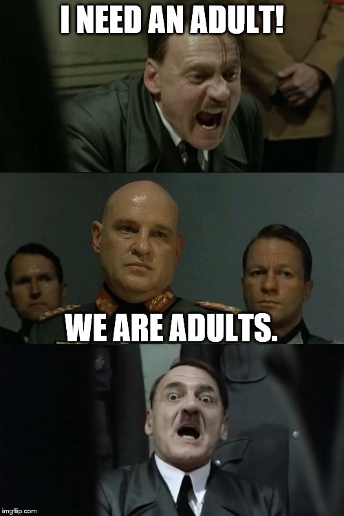 Hitler's Bunker | I NEED AN ADULT! WE ARE ADULTS. | image tagged in hitler's bunker | made w/ Imgflip meme maker