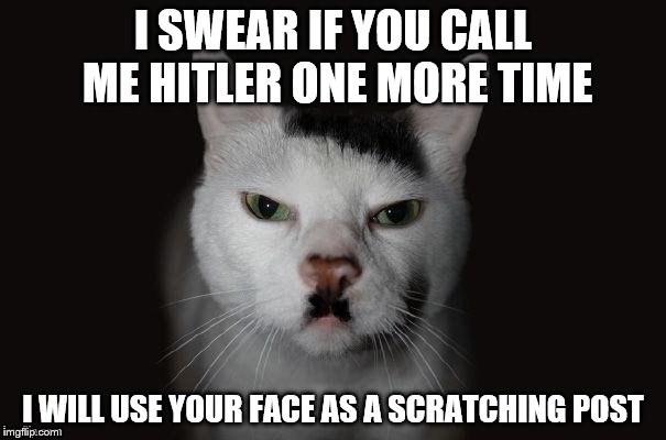 Hitler Cat | I SWEAR IF YOU CALL ME HITLER ONE MORE TIME; I WILL USE YOUR FACE AS A SCRATCHING POST | image tagged in hitler cat | made w/ Imgflip meme maker