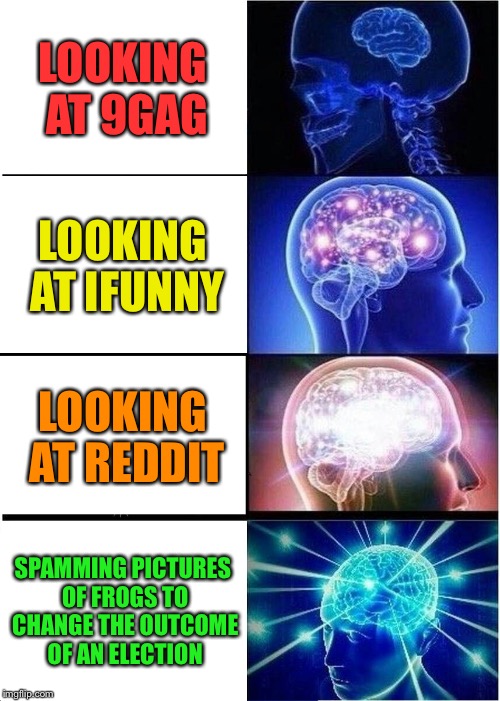Expanding Brain | LOOKING AT 9GAG; LOOKING AT IFUNNY; LOOKING AT REDDIT; SPAMMING PICTURES OF FROGS TO CHANGE THE OUTCOME OF AN ELECTION | image tagged in memes,expanding brain | made w/ Imgflip meme maker