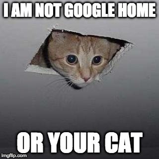 Ceiling Cat Meme | I AM NOT GOOGLE HOME; OR YOUR CAT | image tagged in memes,ceiling cat | made w/ Imgflip meme maker