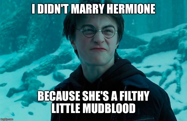 Harry Potter | I DIDN'T MARRY HERMIONE; BECAUSE SHE'S A FILTHY LITTLE MUDBLOOD | image tagged in harry potter | made w/ Imgflip meme maker