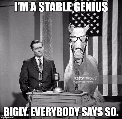 Stable Genius | I'M A STABLE GENIUS; BIGLY. EVERYBODY SAYS SO. | image tagged in donald trump is an idiot,trump is a moron | made w/ Imgflip meme maker