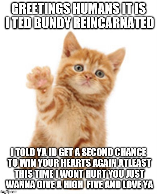 orange cat | GREETINGS HUMANS IT IS I TED BUNDY REINCARNATED; I TOLD YA ID GET A SECOND CHANCE TO WIN YOUR HEARTS AGAIN ATLEAST THIS TIME I WONT HURT YOU JUST WANNA GIVE A HIGH  FIVE AND LOVE YA | image tagged in orange cat | made w/ Imgflip meme maker