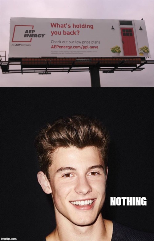 Shawn Mendes billboard meme | NOTHING | image tagged in memes,shawn mendes,signs/billboards | made w/ Imgflip meme maker
