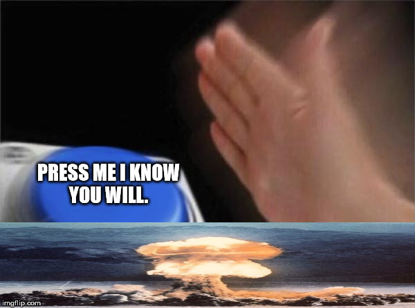 Blank Nut Button Meme | PRESS ME I KNOW YOU WILL. BOOM | image tagged in memes,blank nut button | made w/ Imgflip meme maker