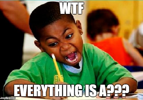 Funny Kid Testing | WTF; EVERYTHING IS A??? | image tagged in funny kid testing | made w/ Imgflip meme maker