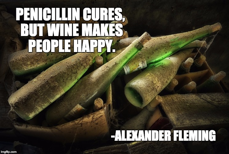 PENICILLIN CURES, BUT WINE MAKES PEOPLE HAPPY. -ALEXANDER FLEMING | made w/ Imgflip meme maker