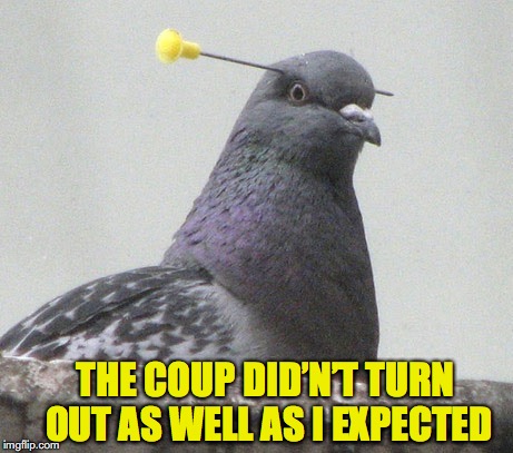 THE COUP DID’N’T TURN OUT AS WELL AS I EXPECTED | made w/ Imgflip meme maker