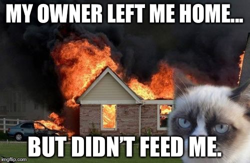 Burn Kitty | MY OWNER LEFT ME HOME... BUT DIDN’T FEED ME. | image tagged in memes,burn kitty,grumpy cat | made w/ Imgflip meme maker