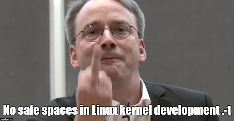 Does not approve? | No safe spaces in Linux kernel development .-t | image tagged in security linus linux | made w/ Imgflip meme maker