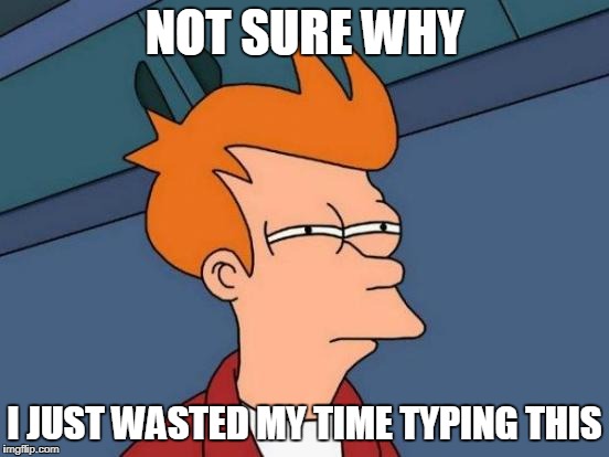 NOT SURE WHY I JUST WASTED MY TIME TYPING THIS | image tagged in memes,futurama fry | made w/ Imgflip meme maker
