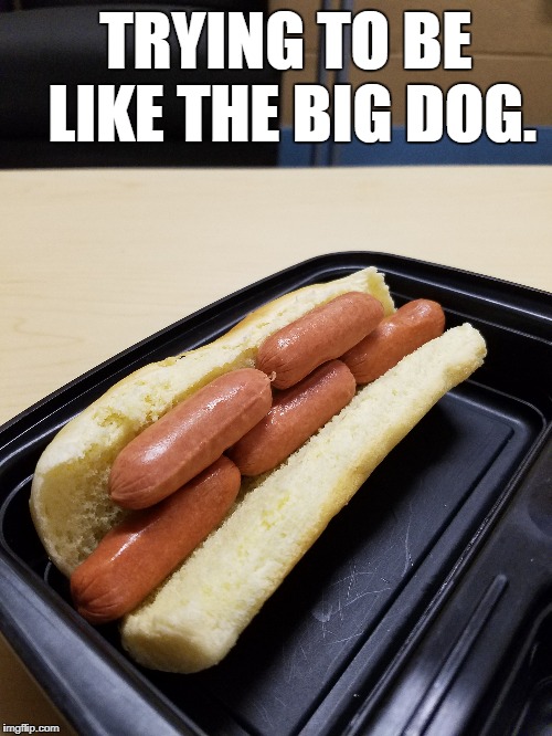 TRYING TO BE LIKE THE BIG DOG. | made w/ Imgflip meme maker