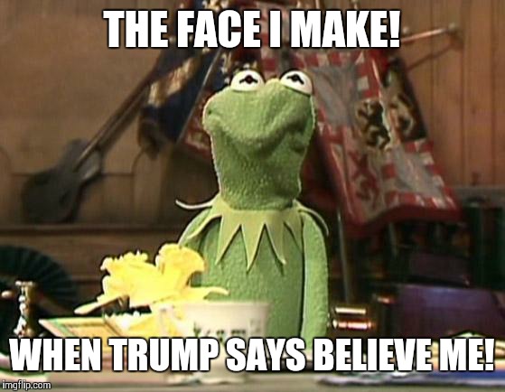 Believe In What? | THE FACE I MAKE! WHEN TRUMP SAYS BELIEVE ME! | image tagged in annoyed kermit,donald trump approves,republican debate | made w/ Imgflip meme maker