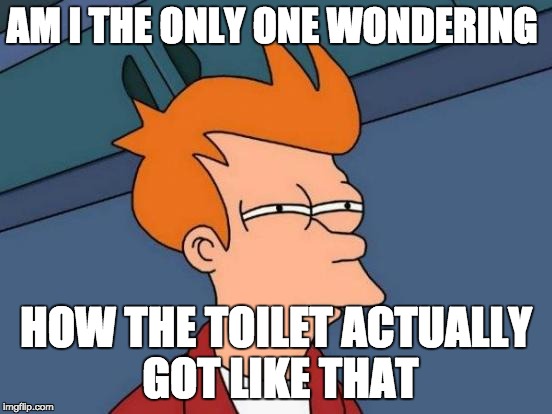 AM I THE ONLY ONE WONDERING HOW THE TOILET ACTUALLY GOT LIKE THAT | image tagged in memes,futurama fry | made w/ Imgflip meme maker