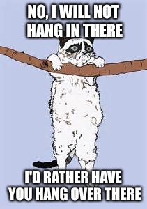 Grumpy Cat doesn't like where this is going | NO, I WILL NOT HANG IN THERE; I'D RATHER HAVE YOU HANG OVER THERE | image tagged in hang in there,memes | made w/ Imgflip meme maker