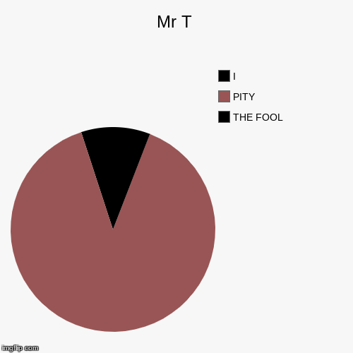 I WITTY the fool | image tagged in funny,pie charts | made w/ Imgflip chart maker