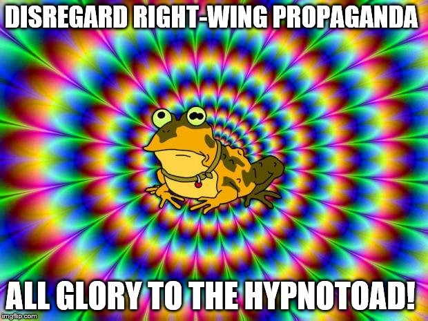 Hypnotoad | DISREGARD RIGHT-WING PROPAGANDA; ALL GLORY TO THE HYPNOTOAD! | image tagged in hypnotoad | made w/ Imgflip meme maker