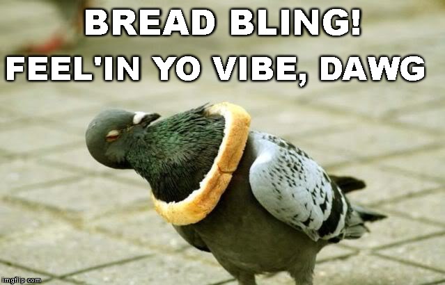 BREAD BLING! FEEL'IN YO VIBE, DAWG | image tagged in bread bird | made w/ Imgflip meme maker