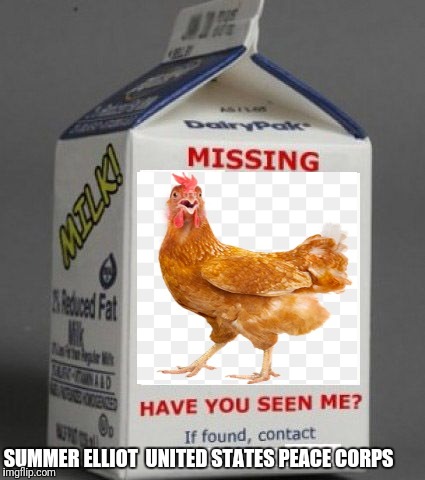 Milk carton | SUMMER ELLIOT 
UNITED STATES PEACE CORPS | image tagged in milk carton | made w/ Imgflip meme maker