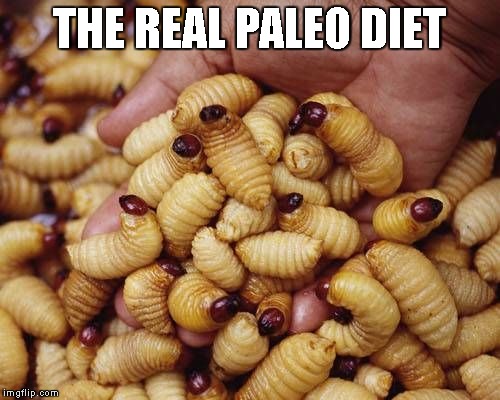 THE REAL PALEO DIET | image tagged in the real paleo diet | made w/ Imgflip meme maker